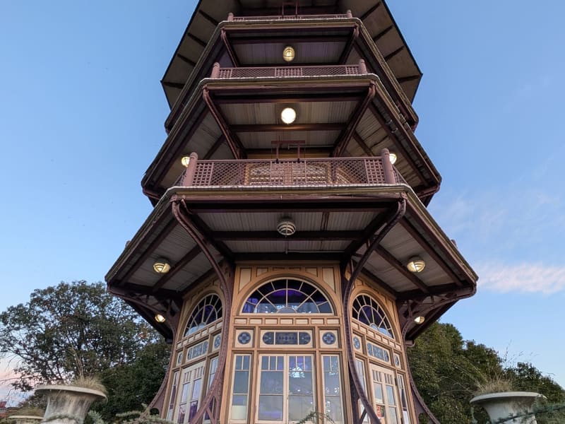 The Patterson Park Pagoda at dusk, framed by a weeping evergreen