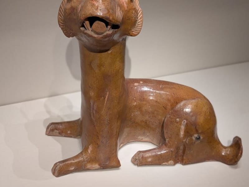 Ancient Colima ceramic seated dog sculpture at the Cleveland Museum of Art