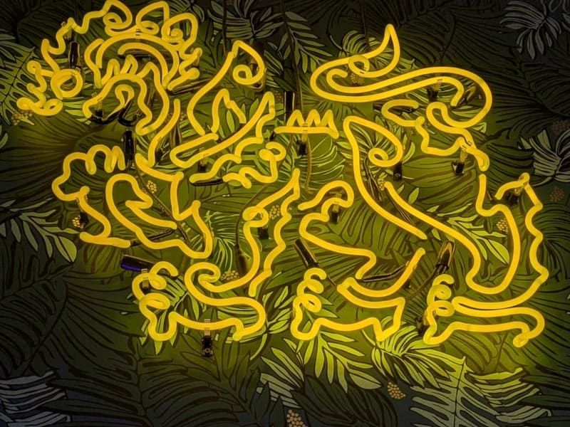 Yellow neon dragons glowing against a tropical-leaf wallpaper