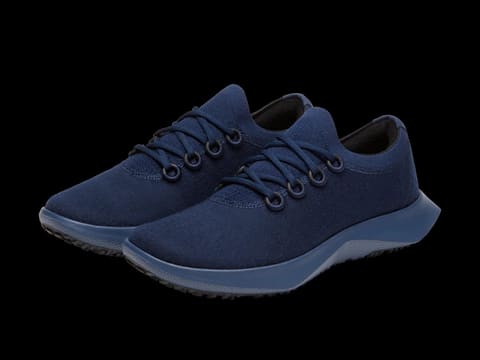 Allbirds Wool Dasher Mizzle