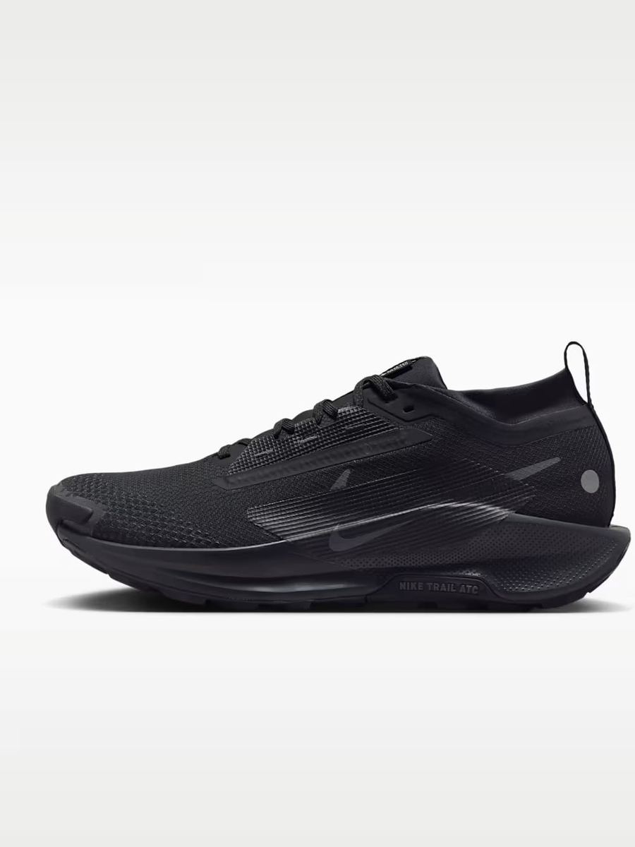 Nike Pegasus Trail 5