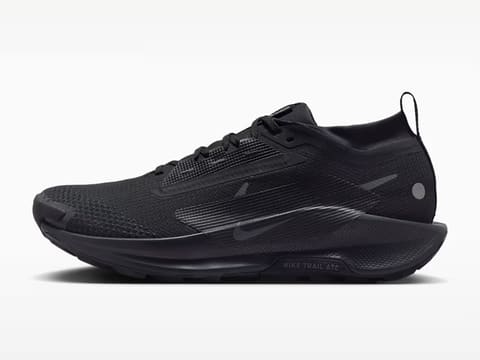Nike Pegasus Trail 5